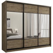 дуб эвок прибрежный