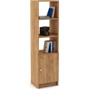 дуб золотистый