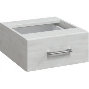 северное дерево светлое