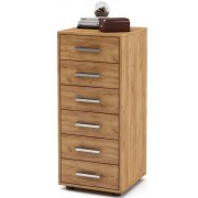 дуб золотистый