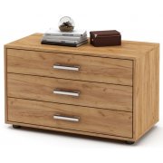 дуб золотистый