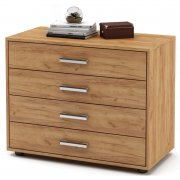 дуб золотистый