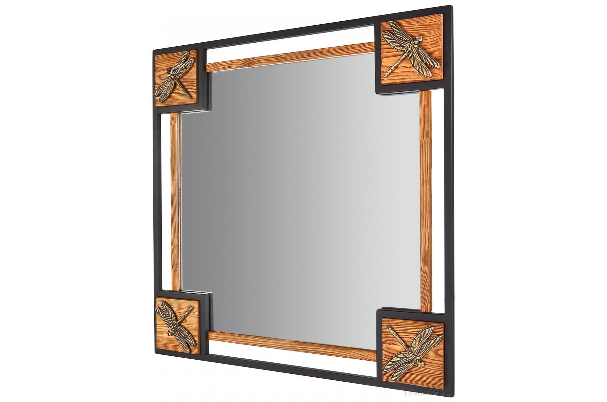 Зеркало Стрекозы V20042