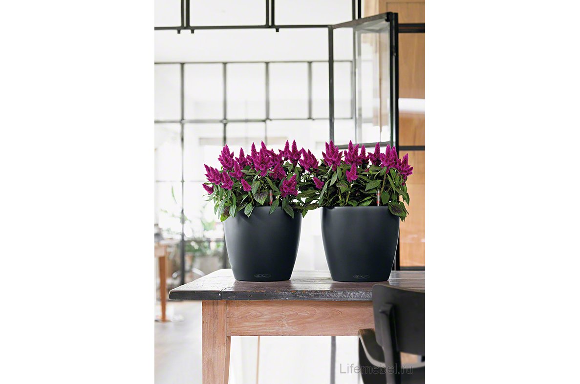 Кашпо Lechuza 13184 CLASSICO Color 21 серый