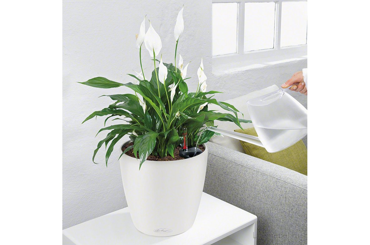 Кашпо Lechuza 13203 CLASSICO Color 28 мускатный