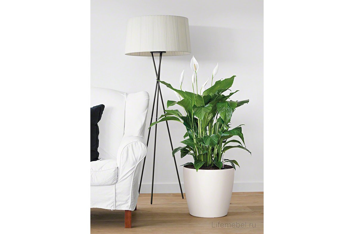 Кашпо Lechuza 13224 CLASSICO Color 35 серый