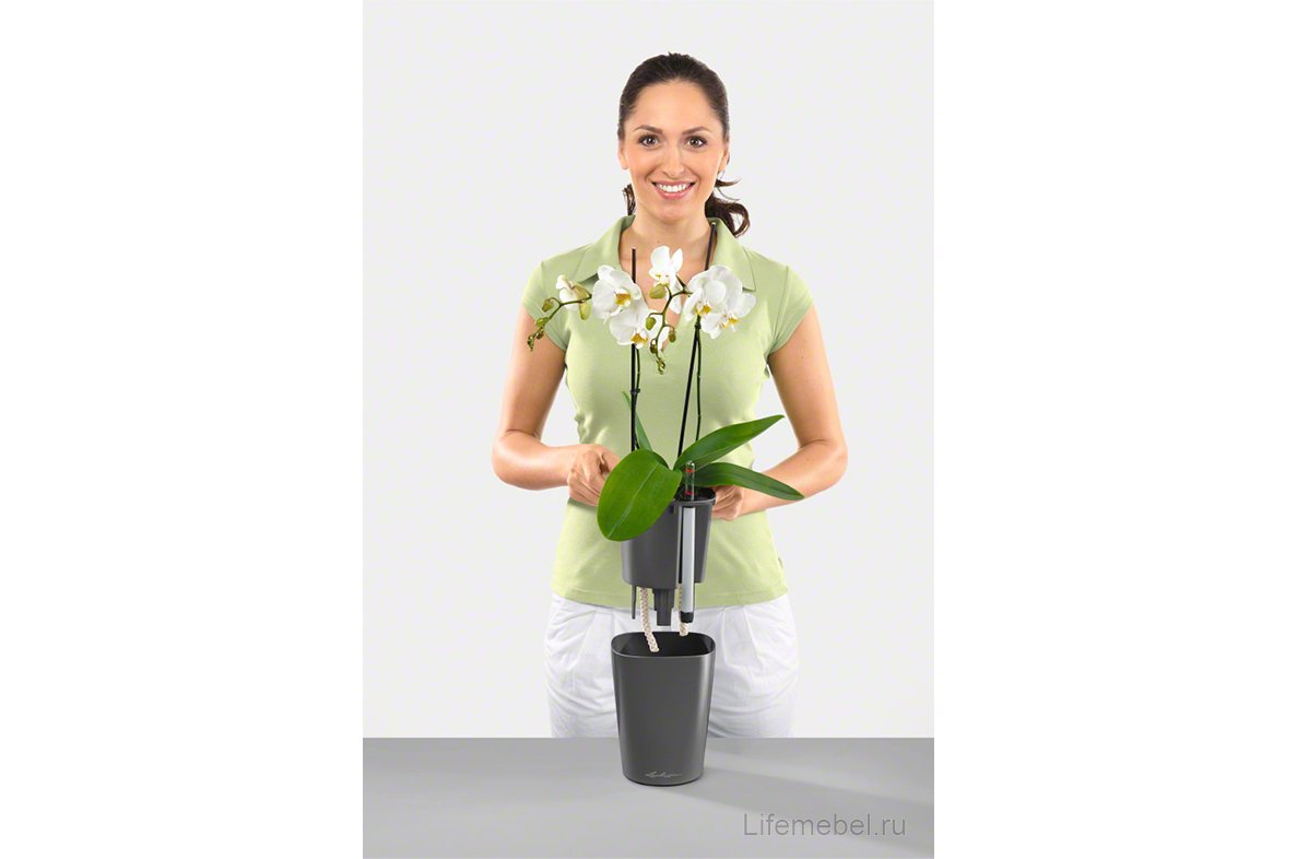 Кашпо Lechuza 14903 DELTINI Антрацитовый металлик