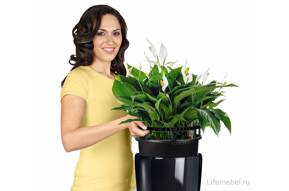 Кашпо Lechuza 15780 RONDO 32 Белый блестящий