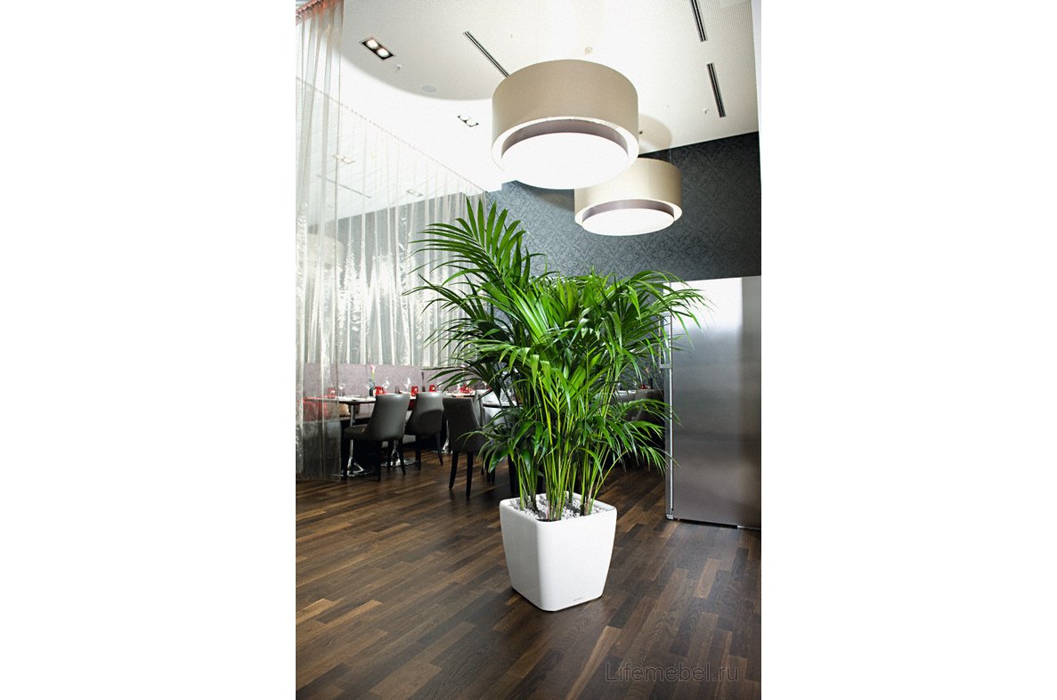 Кашпо Lechuza 16123 QUADRO LS 21 Антрацитовый металлик