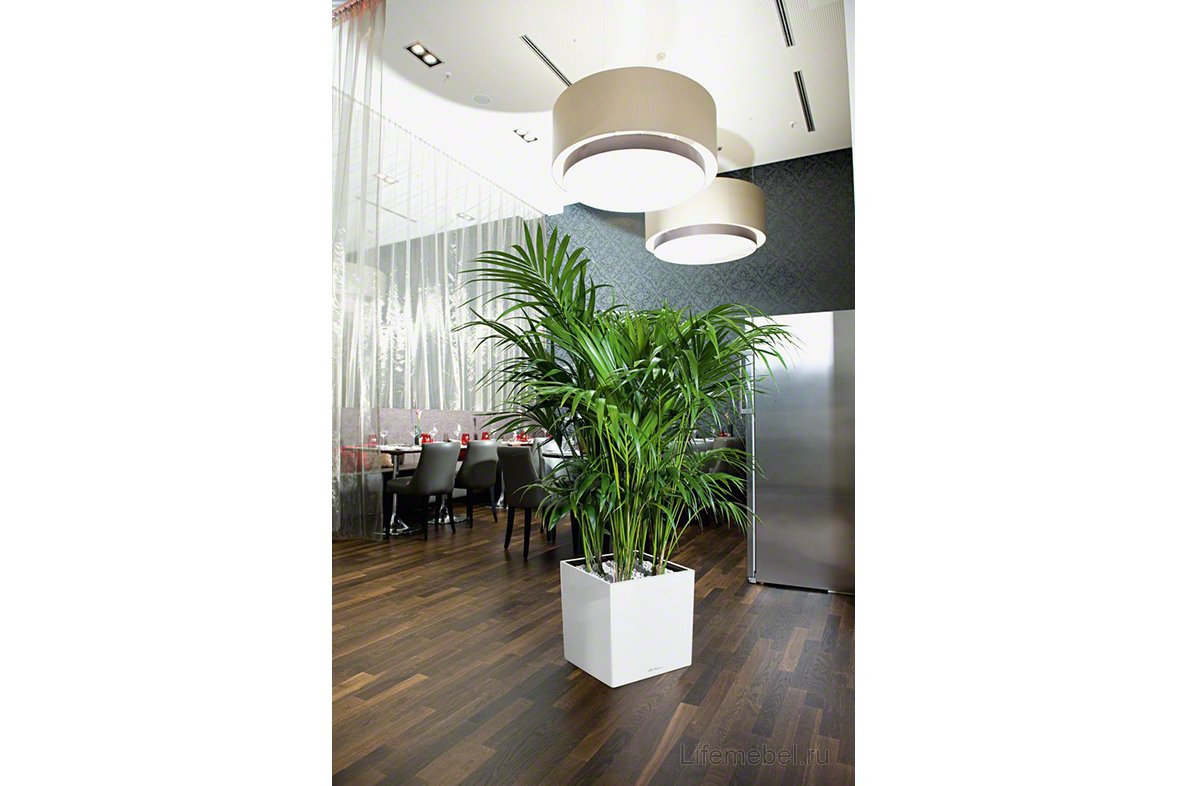 Кашпо Lechuza 16367 CUBE 40 ярко-красный блестящий