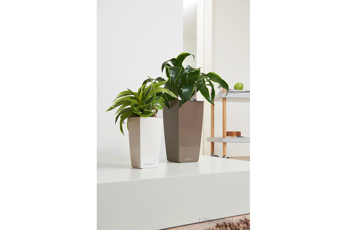 Кашпо Lechuza 18069 MAXI-CUBI серо-коричневый блестящий