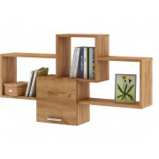 дуб золотистый