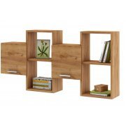 дуб золотистый