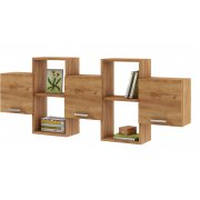 дуб золотистый