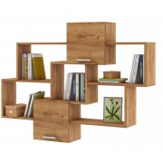 дуб золотистый