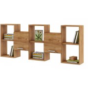 дуб золотистый