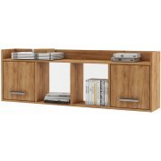 дуб золотистый