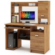 дуб золотистый