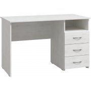 северное дерево светлое