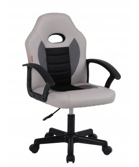 Компьютерное кресло Chairman CH111