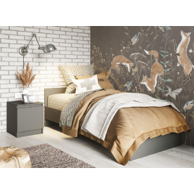 Полутораспальная кровать Мадера М1200