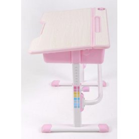 Комплект EVOLIFE Study 2 розовый