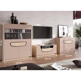 Гостиная Хортен комплектация 1 дуб сонома / мокко глянец