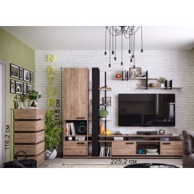 Модульная гостиная Nature (комплектация 1) дуб табачный craft / дуб табачный craft черный