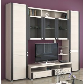 Стенка для гостиной Фиджи (комплектация 25) дуб белфорт