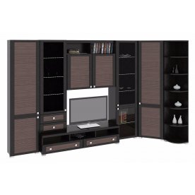 Стенка для гостиной Фиджи (комплектация 28) венге цаво / каналы дуба