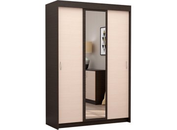 Шкаф-купе Кэт-7