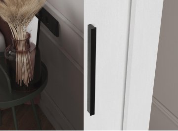 Шкаф-купе Дрим-2 1,5 м