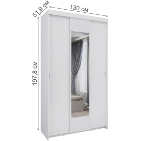 Шкаф-купе Ари-9