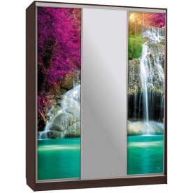 Шкаф-купе Бассо 10-600 49