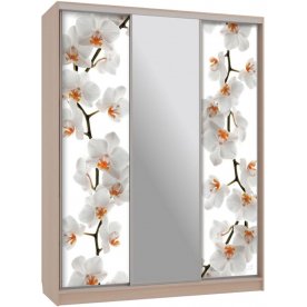 Шкаф-купе Бассо 10-600 83