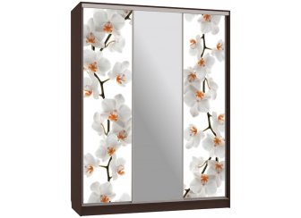 Шкаф-купе Бассо 10-600 83