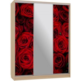 Шкаф-купе Бассо 10-600 89