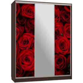 Шкаф-купе Бассо 10-600 89