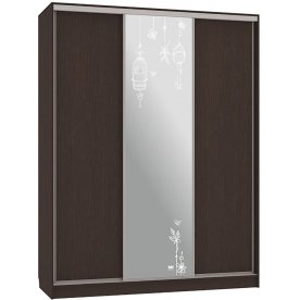 Шкаф-купе Бассо 1-600