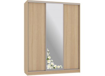 Шкаф-купе Бассо 1-600