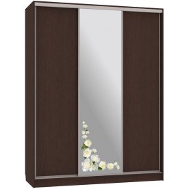 Шкаф-купе Бассо 1-600