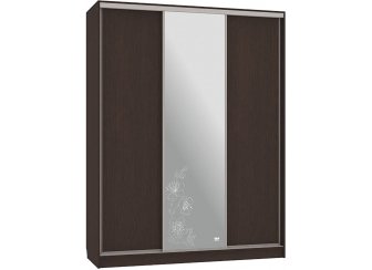 Шкаф-купе Бассо 1-600