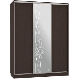 Шкаф-купе Бассо 1-600