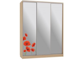 Шкаф-купе Бассо 4-600