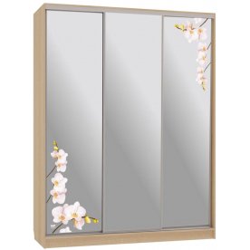 Шкаф-купе Бассо 4-600