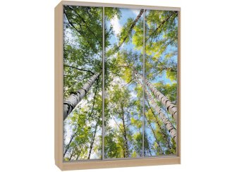 Шкаф-купе Бассо 7-600 57