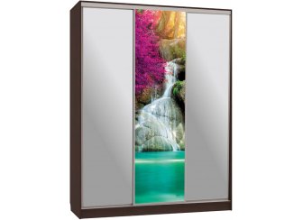 Шкаф-купе Бассо 9-600 49