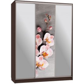 Шкаф-купе Бассо 9-600 78