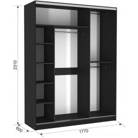 Шкаф-купе Бассо 9-600 83