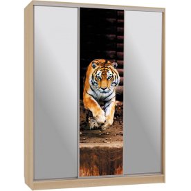 Шкаф-купе Бассо 9-600 87